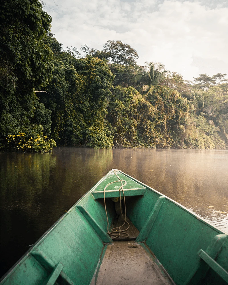 Boat navigating the Amazon river through dense jungle